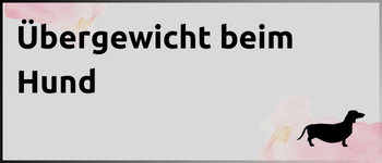 Kachel Übergewicht beim Hund mit dickem Dackel