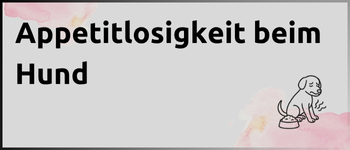 Kachel Appetitlosigkeit beim Hund Kachel Appetitlosigkeit beim Hund