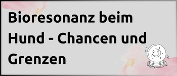 Kachel Bioresonanzanalyse und -therapie beim Hund