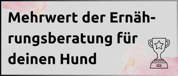 Kachel Mehrwert der Ernährungsberatung für deinen Hund