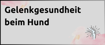 Kachel Gelenkgesundheit beim Hund Kachel Gelenkgesundheit beim Hund